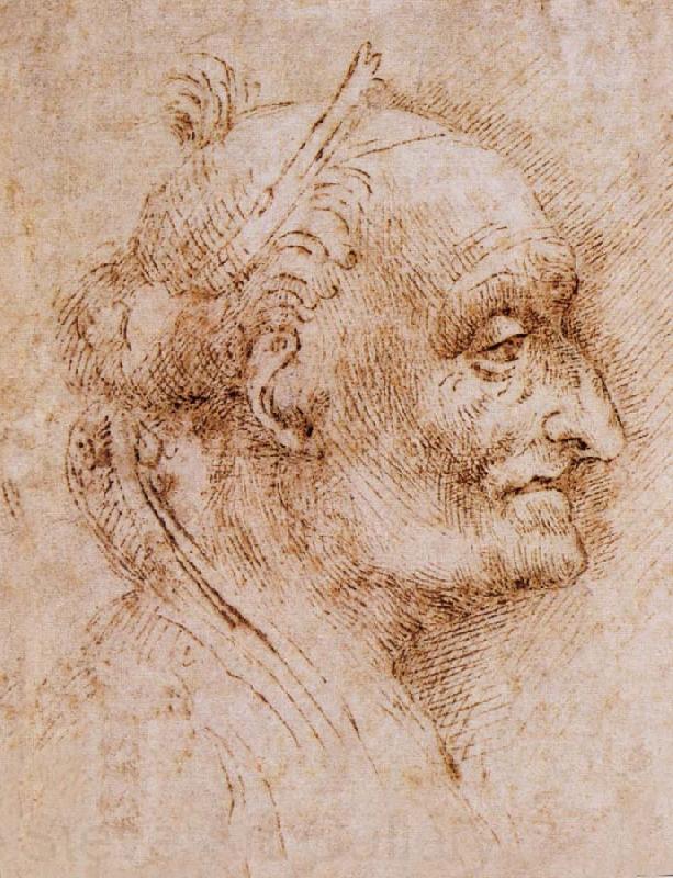 LEONARDO da Vinci Aurelio Luini attributed, profile of an old man